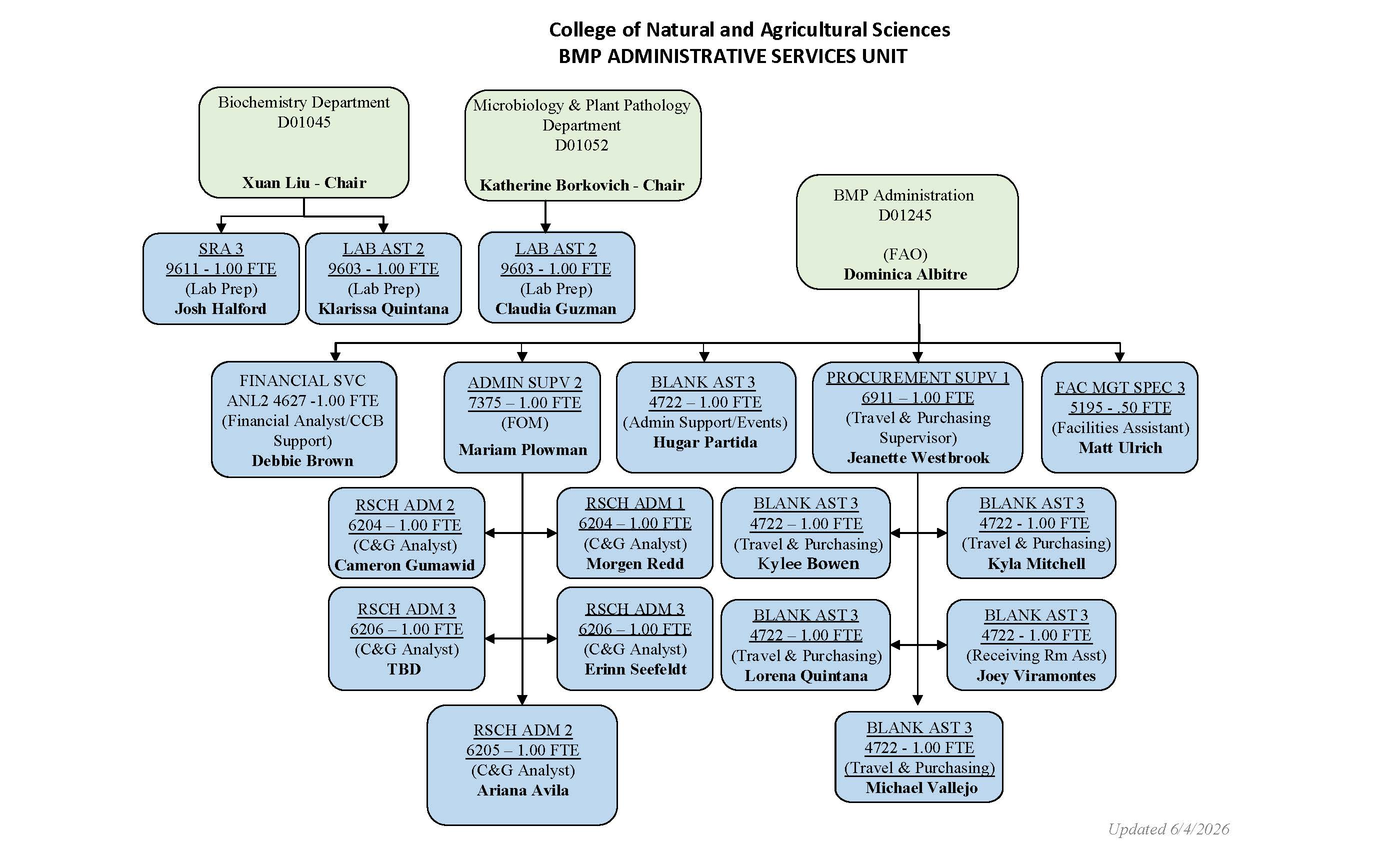 BMP Org Chart